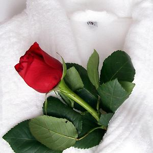 Superior Double Room Romantic